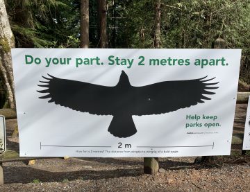 eagle image showing 2 meters apart distance