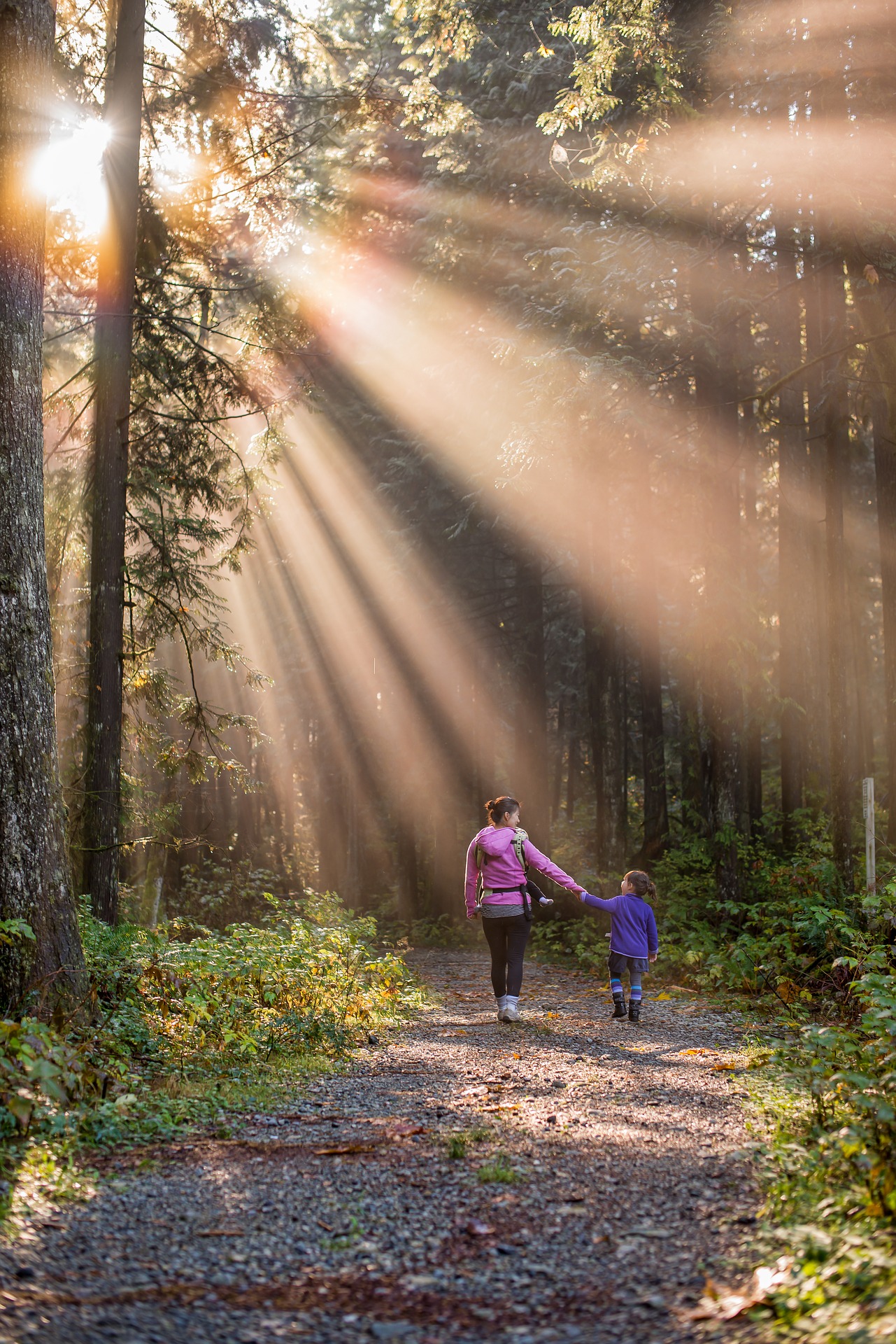 image of mother and child walking on a wooded path
