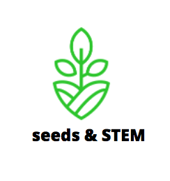 Hands-on Seeds & STEM in the foyer